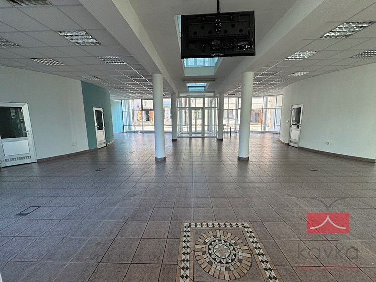 Gewerbefläche zur Miete, 250 m² (5 von 16)
