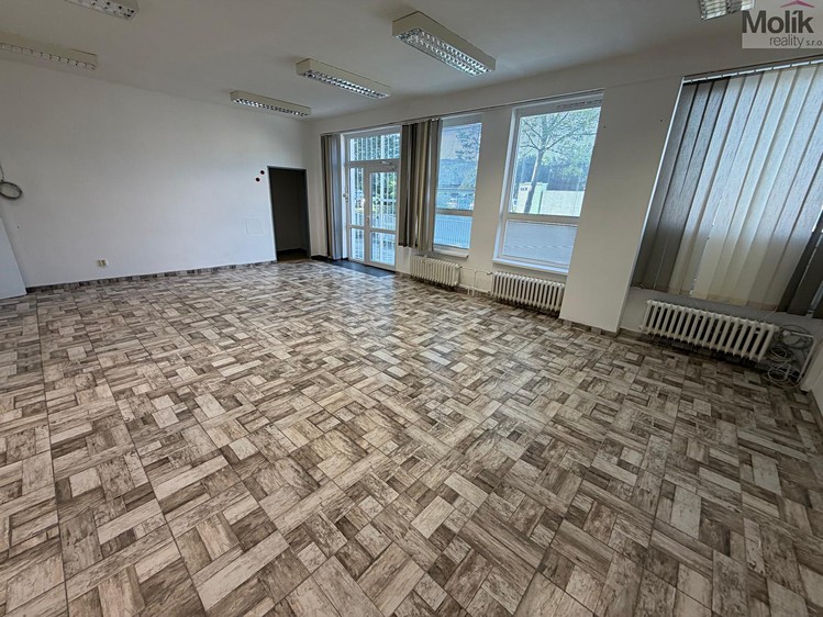 Pronájem komerčního prostoru, 167 m² (6 z 21)