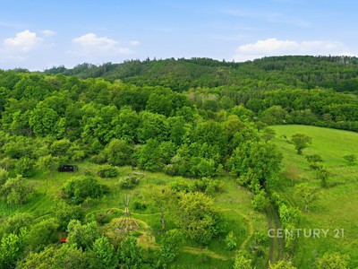 Prodej  komerčního pozemku 2 344 m² — photo 4