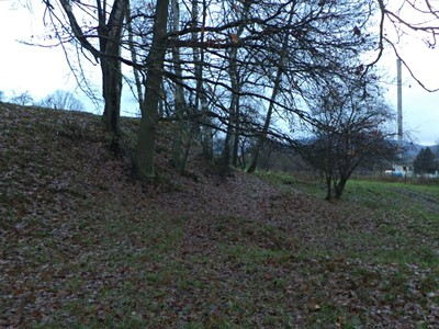 Dražba  louky 1 017 m² — photo 2
