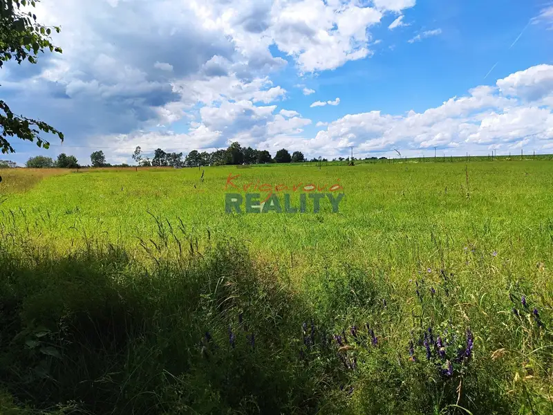Prodej stavebního pozemku 2147 m², Lužnice – náhled fotky 2