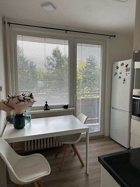 Pronájem bytu 1+1 40 m²
