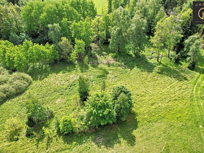 Prodej  louky 9 592 m²