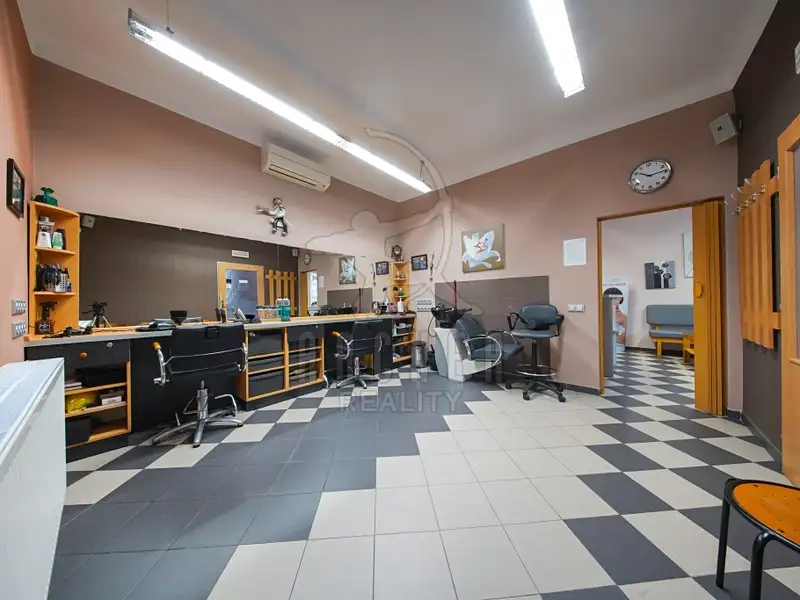 Prodej rodinného domu 324 m², pozemek 399 m², Praha – náhled fotky 3