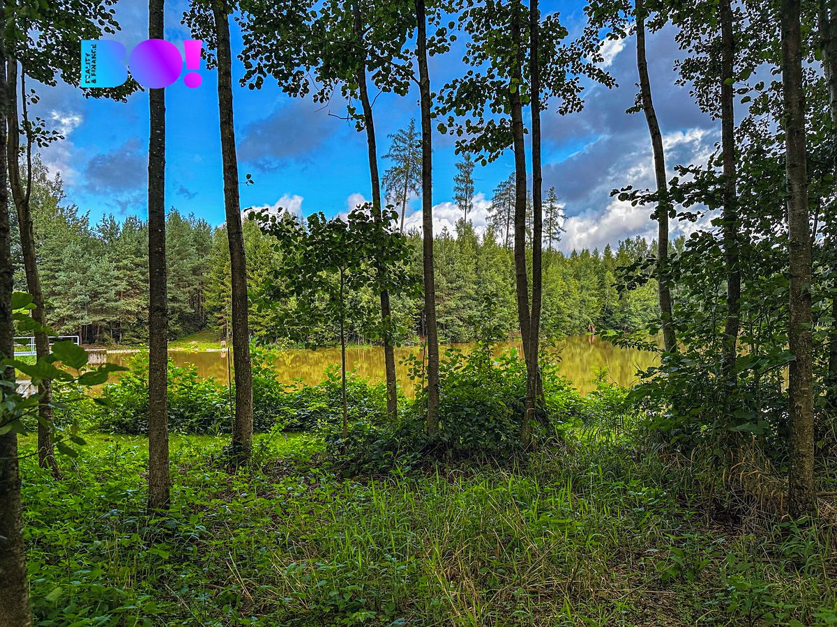 Prodej stavebního pozemku 3959 m² – fotografie 3