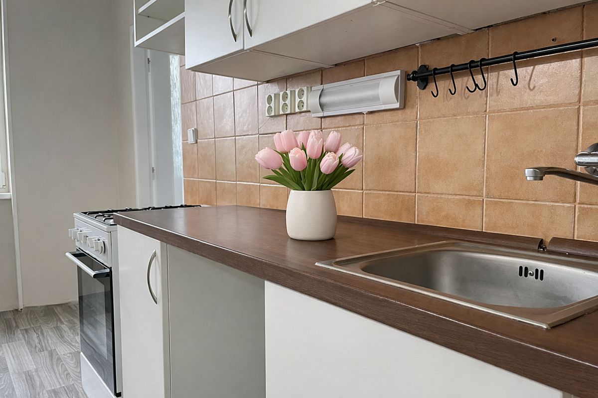 Pronájem bytu 2+1 66 m² – fotografie 2