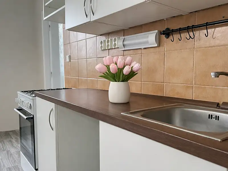 Pronájem bytu 2+1 66 m², Litvínov – náhled fotky 2