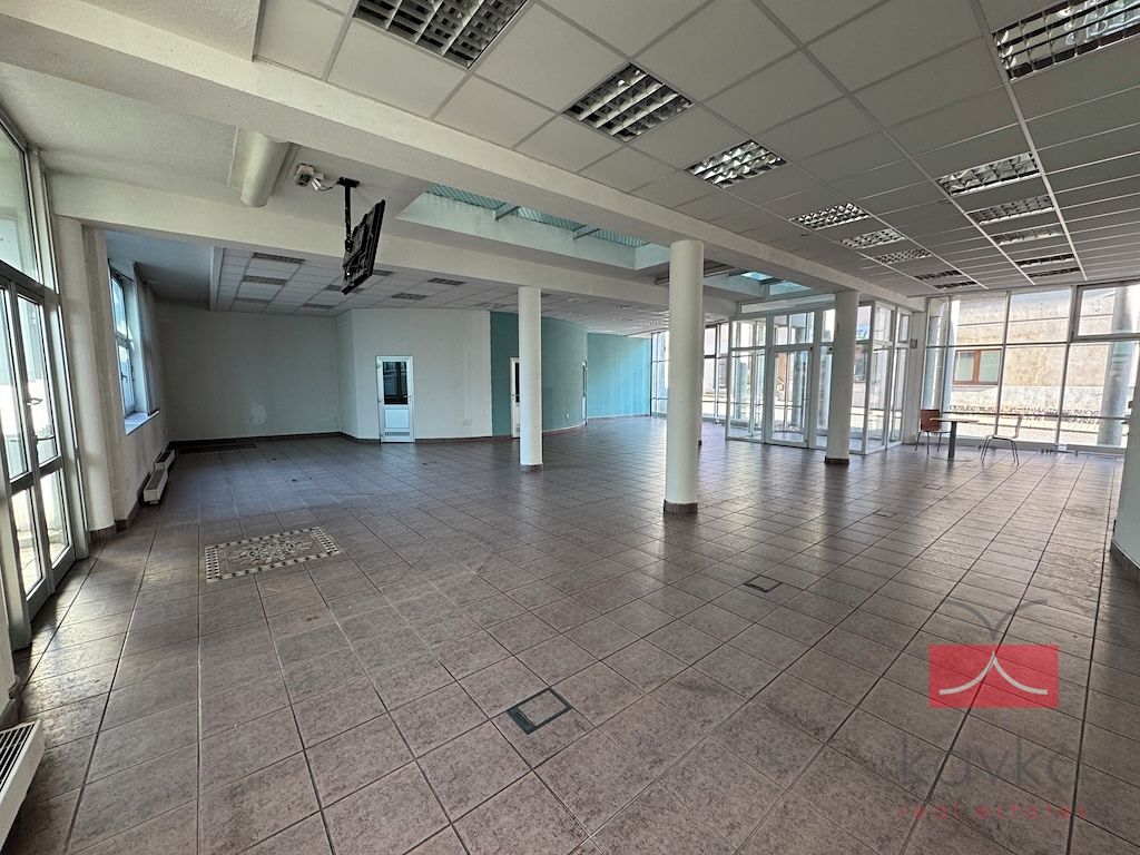 Pronájem komerční nemovitosti 250 m² – fotografie 3