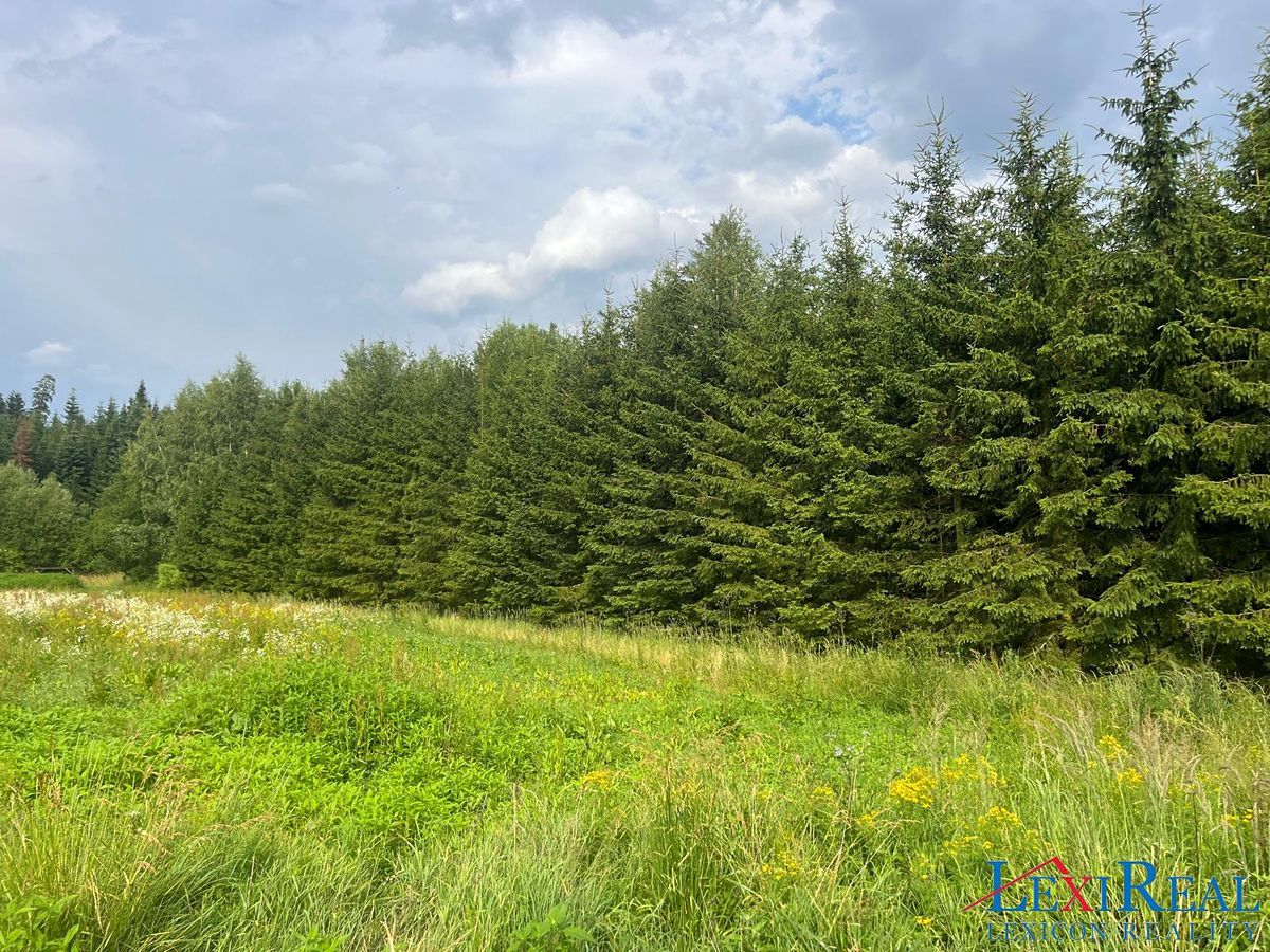 Prodej lesa 15237 m² – fotografie 3