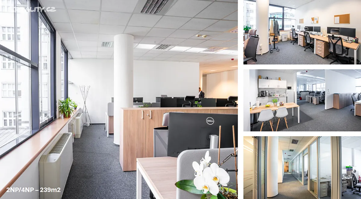 Pronájem kanceláře 239 m² – pohled 2