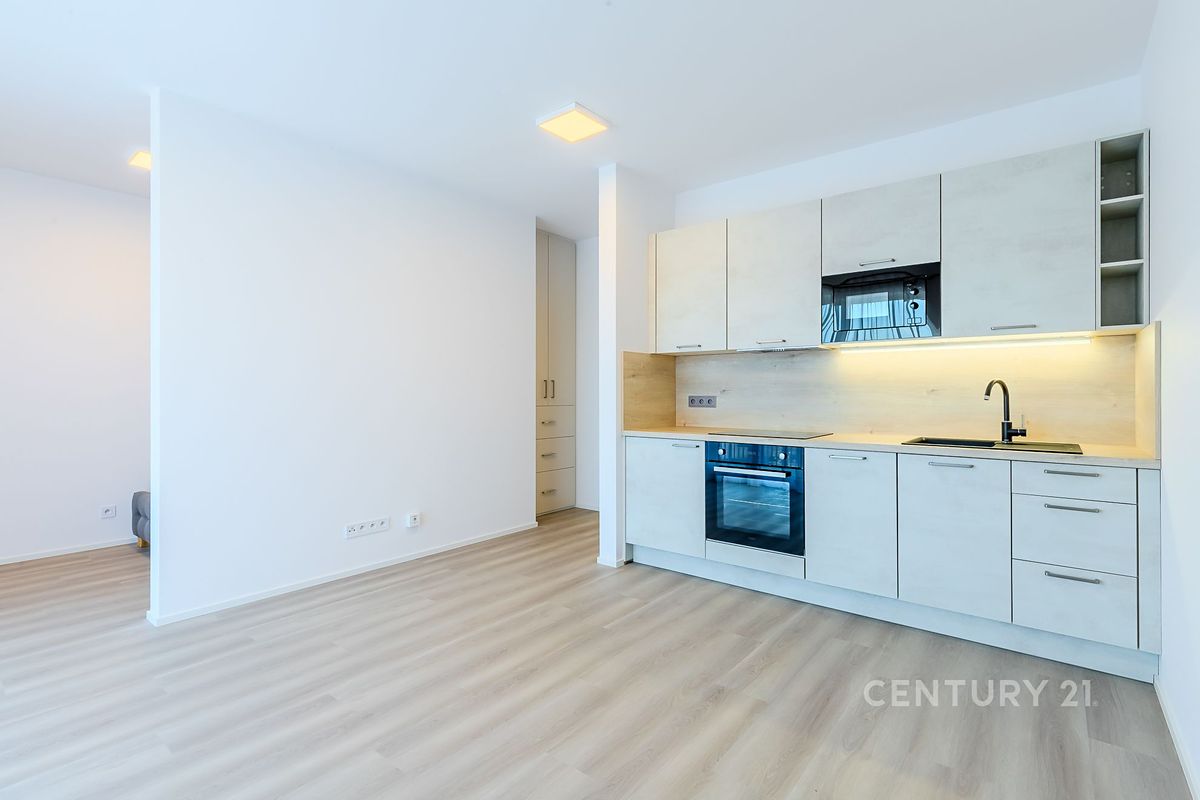Pronájem bytu 1+kk 43 m²