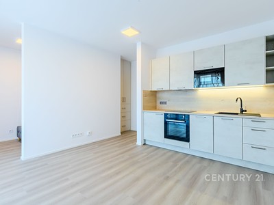 Pronájem bytu 1+kk 43 m²