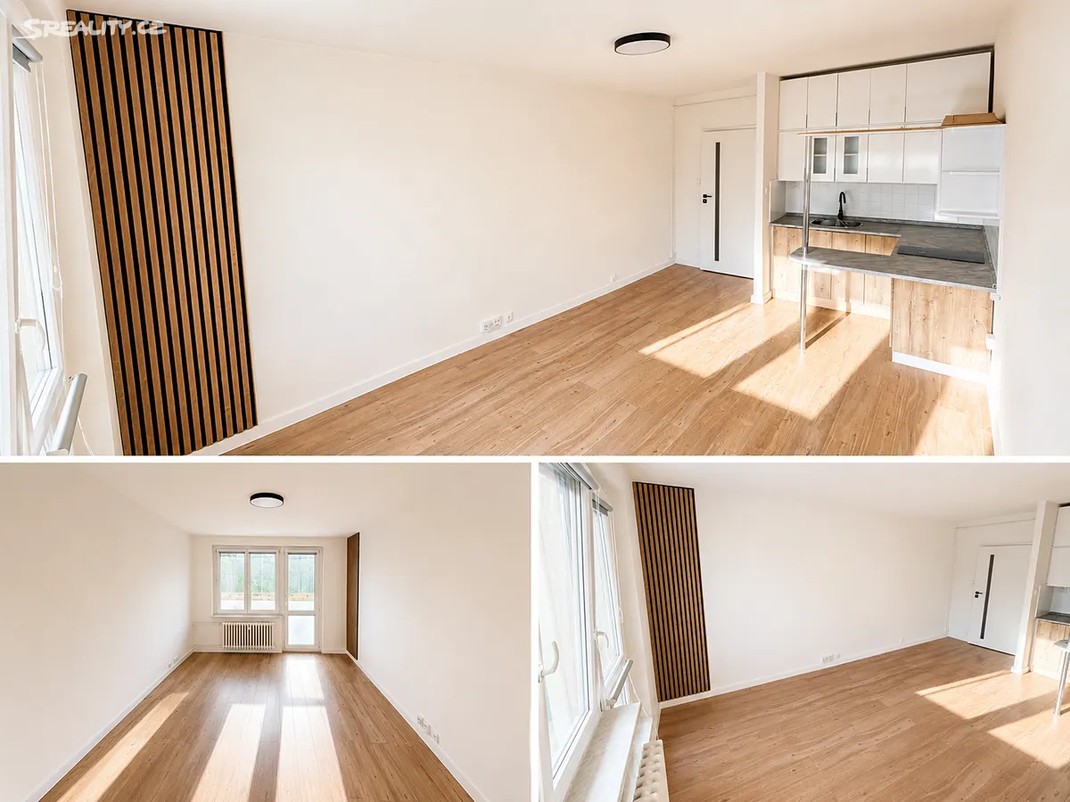 Pronájem bytu 1+kk 32 m², Ostrava