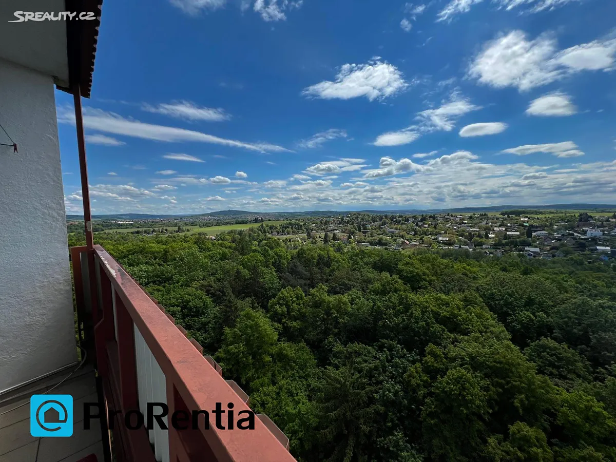 Pronájem bytu 1+kk 22 m² - Widok 3