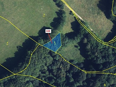 Dražba  lesa 586 m² — photo 2