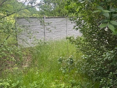 Prodej  zahrady 1 300 m² — photo 2