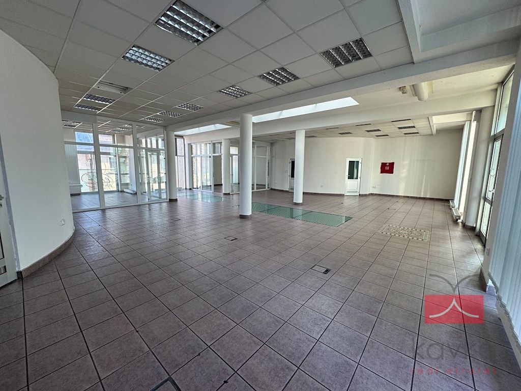 Pronájem komerční nemovitosti 250 m²