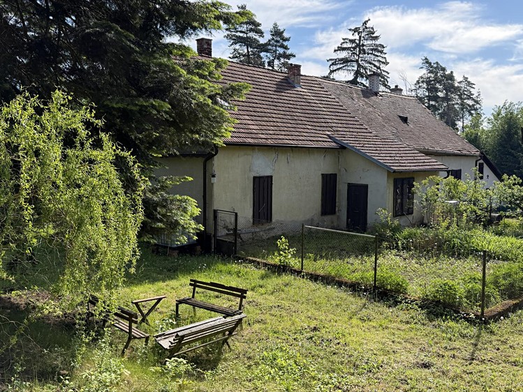 Ostatní