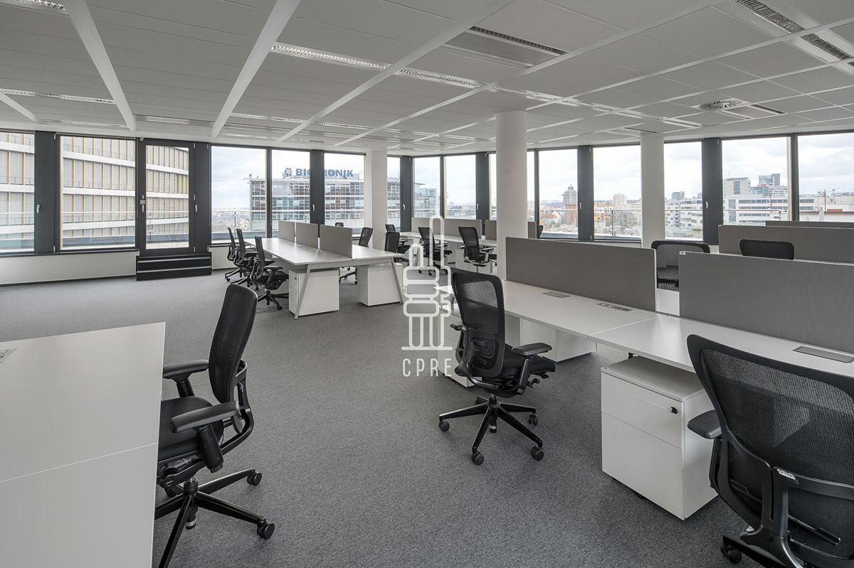 Pronájem kanceláře 564 m² – fotografie 5