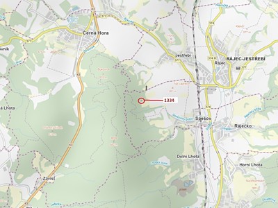 Dražba  lesa 420 m²