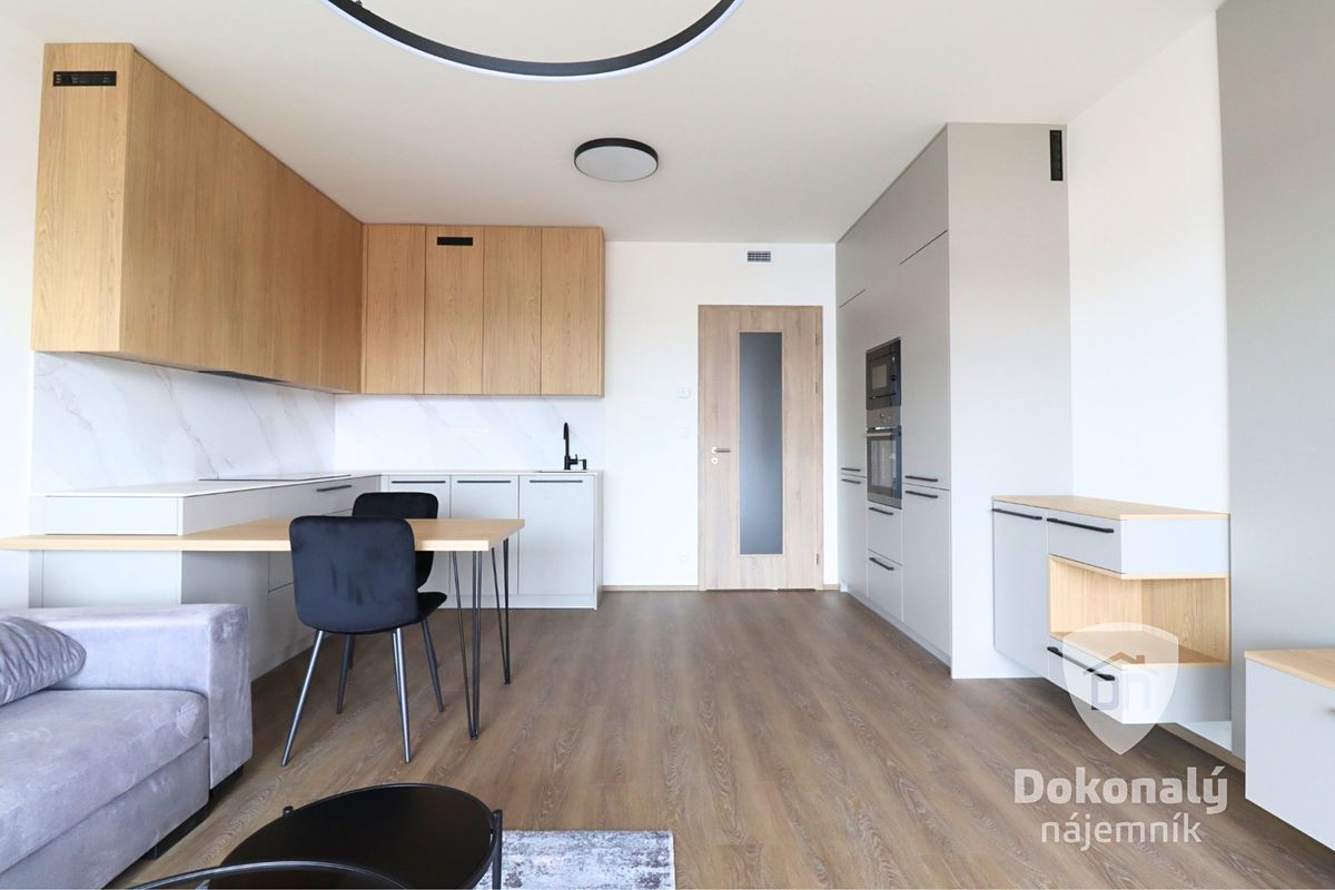 Pronájem bytu 1+kk 42 m²