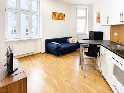 Pronájem bytu 1+kk 25 m²