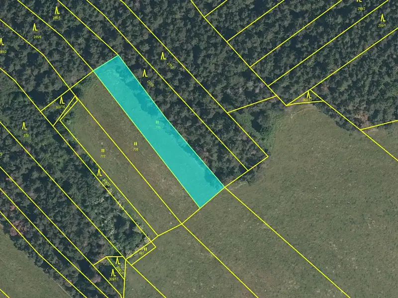 Prodej louky 1974 m², Švihov – náhled fotky 1