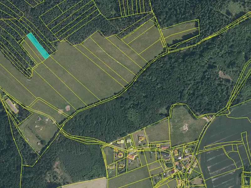 Prodej louky 1974 m², Švihov – náhled fotky 3
