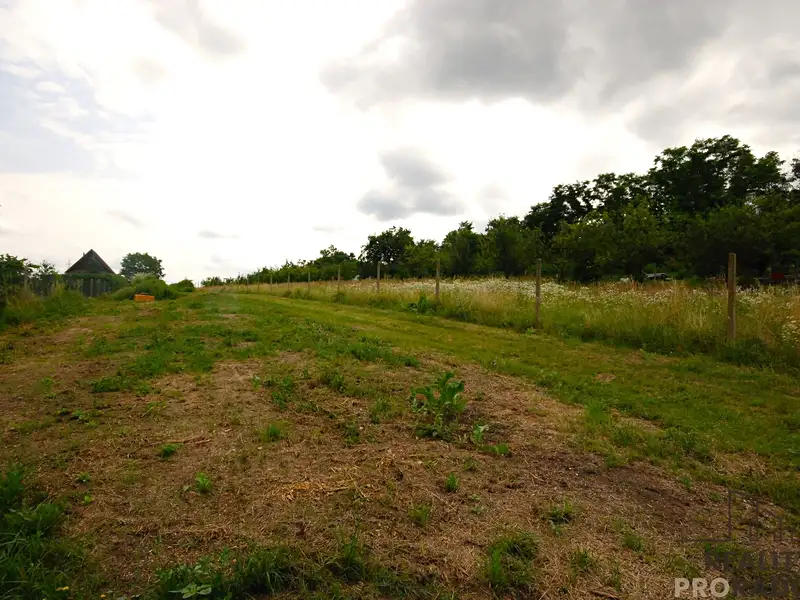 Prodej stavebního pozemku 1992 m², Lednice – náhled fotky 1