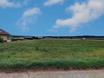 Chlumec, Olešník