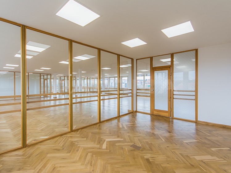 Pronájem komerčního prostoru, 257 m² (11 z 23)