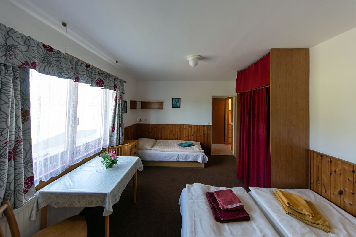 Prodej vícegeneračního domu 390 m², pozemek 2480 m² – fotografie 5