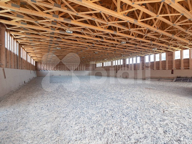 Prodej komerčního prostoru, 2 705 m² (24 z 30)