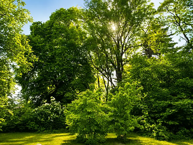 Prodej stavebního pozemku 1400 m², Klecany – náhled fotky 2