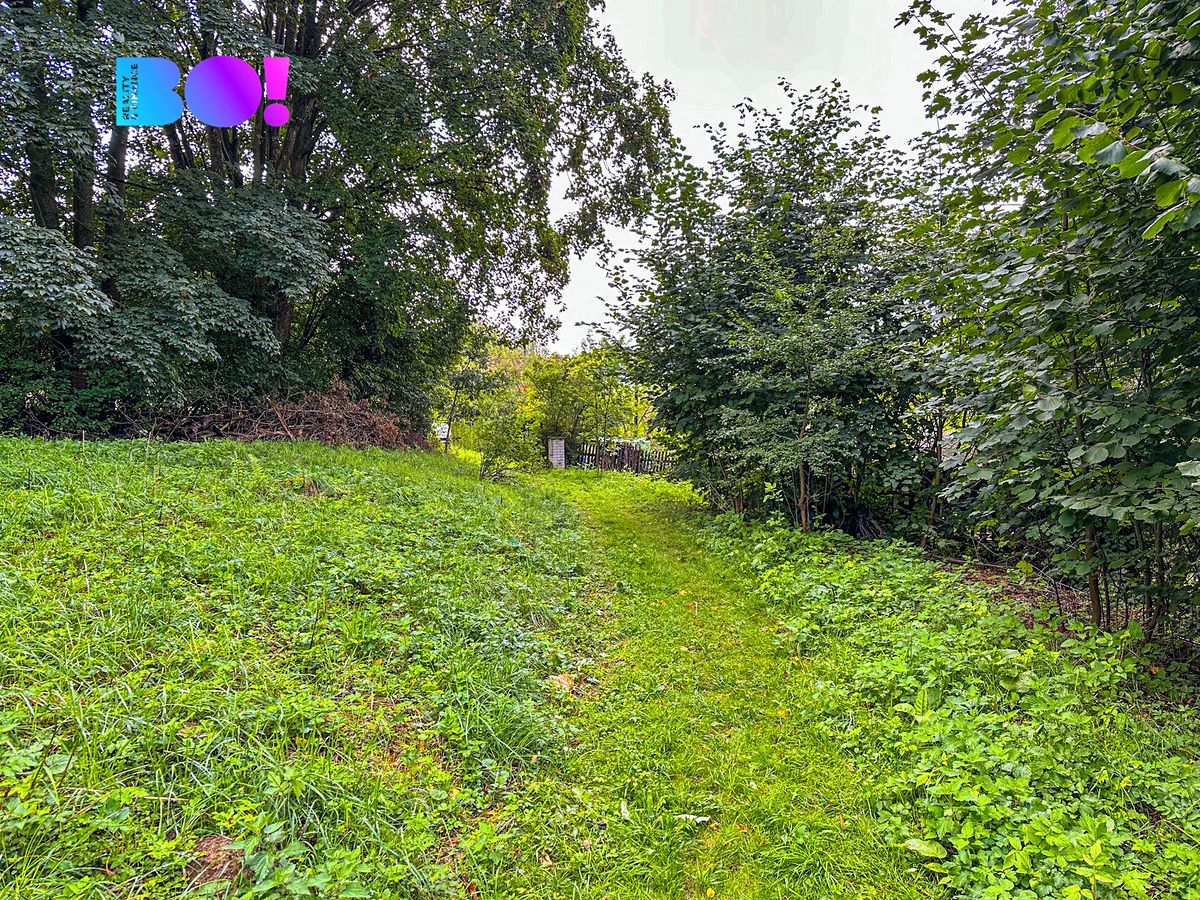 Prodej stavebního pozemku 3959 m² – fotografie 4