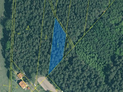 Dražba  lesa 1 446 m² — photo 2