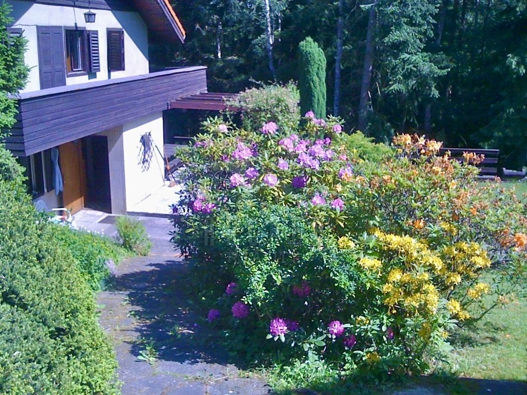 Prodej rodinného domu 250 m², pozemek 3343 m² – fotografie 2