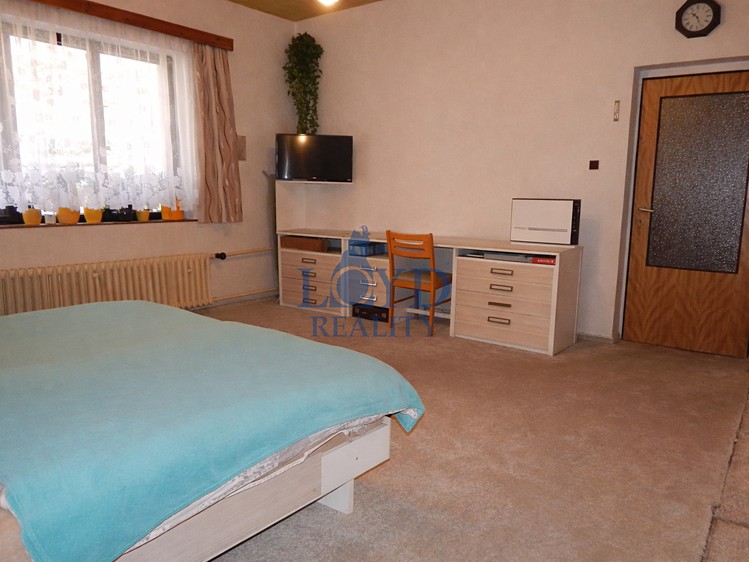 Prodej komerčního prostoru, 169 m² (10 z 47)