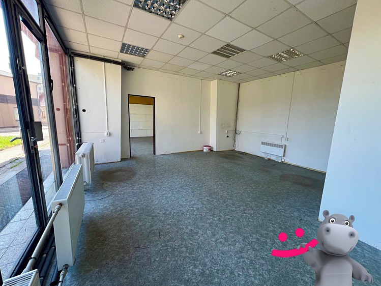 Prodej komerčního prostoru, 218 m² (9 z 19)