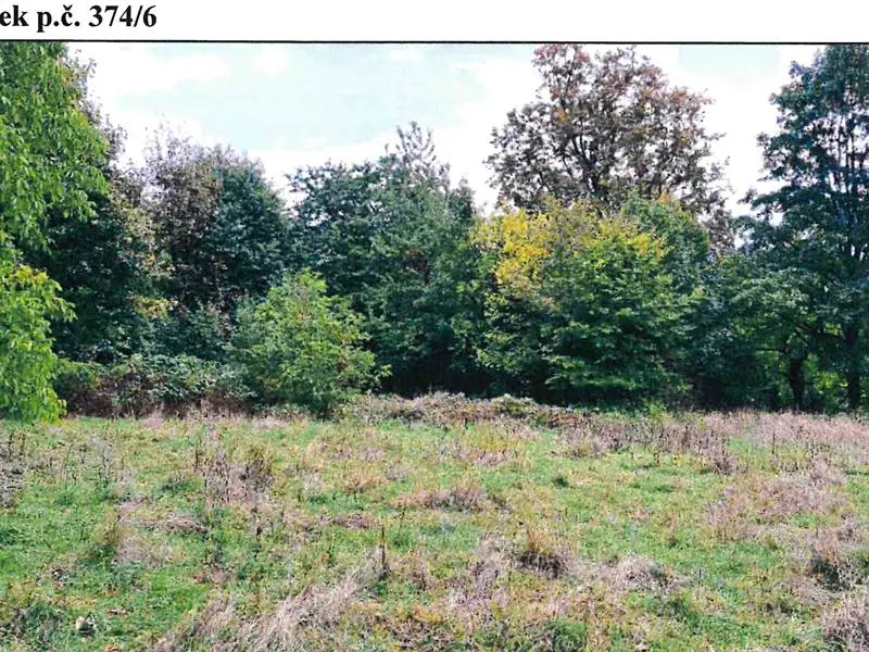 Prodej pozemku 2127 m², Stráž nad Ohří – náhled fotky 2