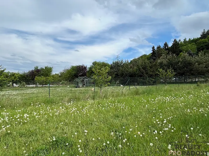 Prodej stavebního pozemku 814 m², Sentice – náhled fotky 3