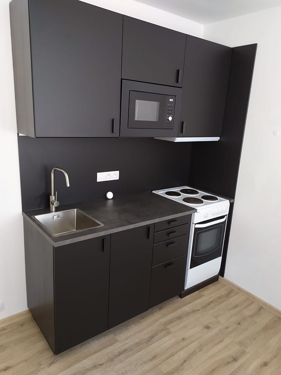 Pronájem bytu 1+1 42 m²