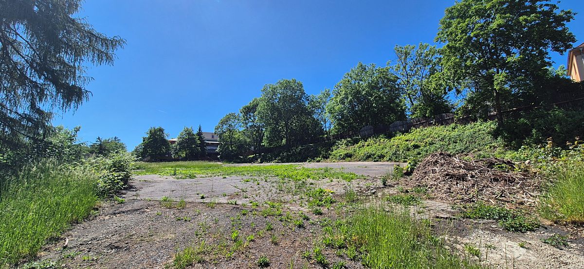 Pronájem komerčního pozemku 2500 m² – fotografie 5