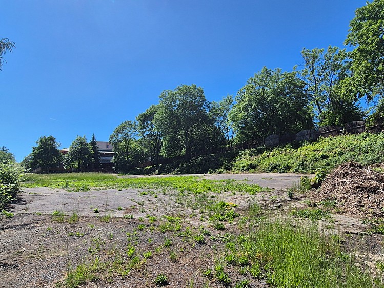 Pronájem pozemku, 2 500 m² (5 z 6)