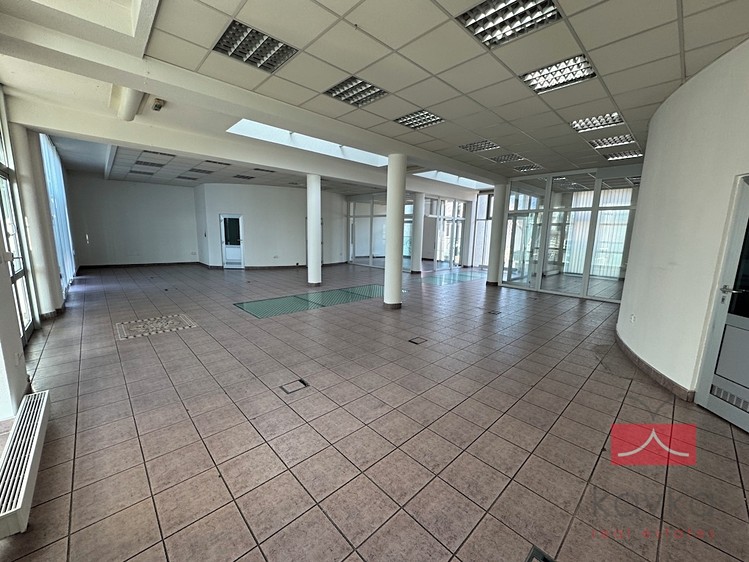 Gewerbefläche zur Miete, 250 m² (2 von 17)