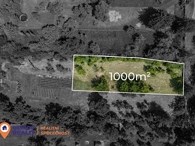 Ділянка на продаж, 1 000 м² (3 з 22)