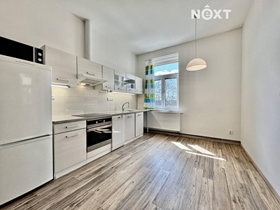 Pronájem bytu 1+1 55 m²