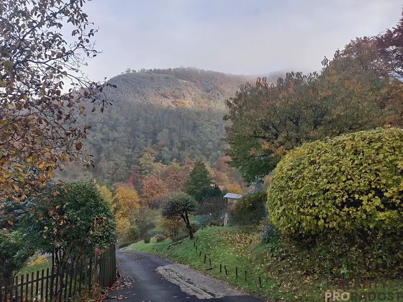 Prodej zahrady 428 m², Ústí nad Labem – náhled fotky 3