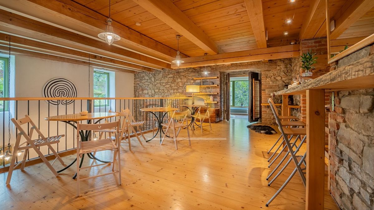 Prodej rodinného domu 590 m², pozemek 5200 m² – fotografie 2