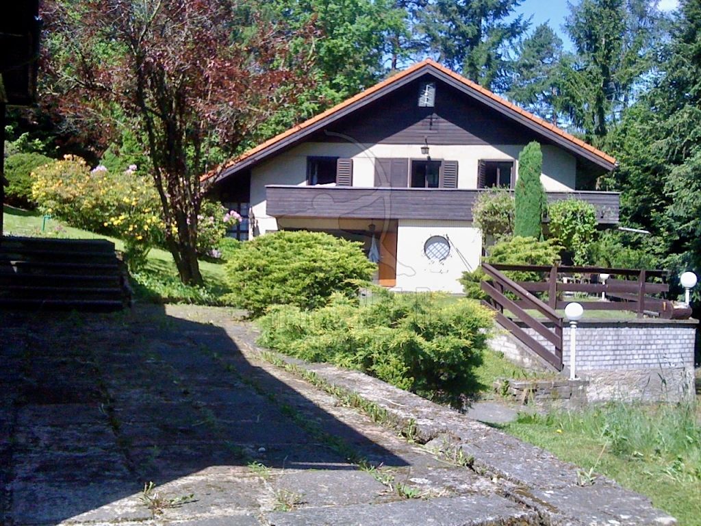 Prodej rodinného domu 250 m², pozemek 3343 m²